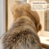 #2604 Women Short Golden Island Fox Fur Coat, Real Full Skin Golden Island Fox Jacket Luxury Warm Winter Outerwear.d