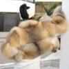 Women's Golden Island Fox Short Fur Coat, Real Full Skin Luxury Winter Outerwear for Women