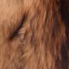 #2613 Women Natural Raccoon Dog Fur Coat, Real Full Skin Raccoon Dog Jacket Luxury Winter Outerwear.b